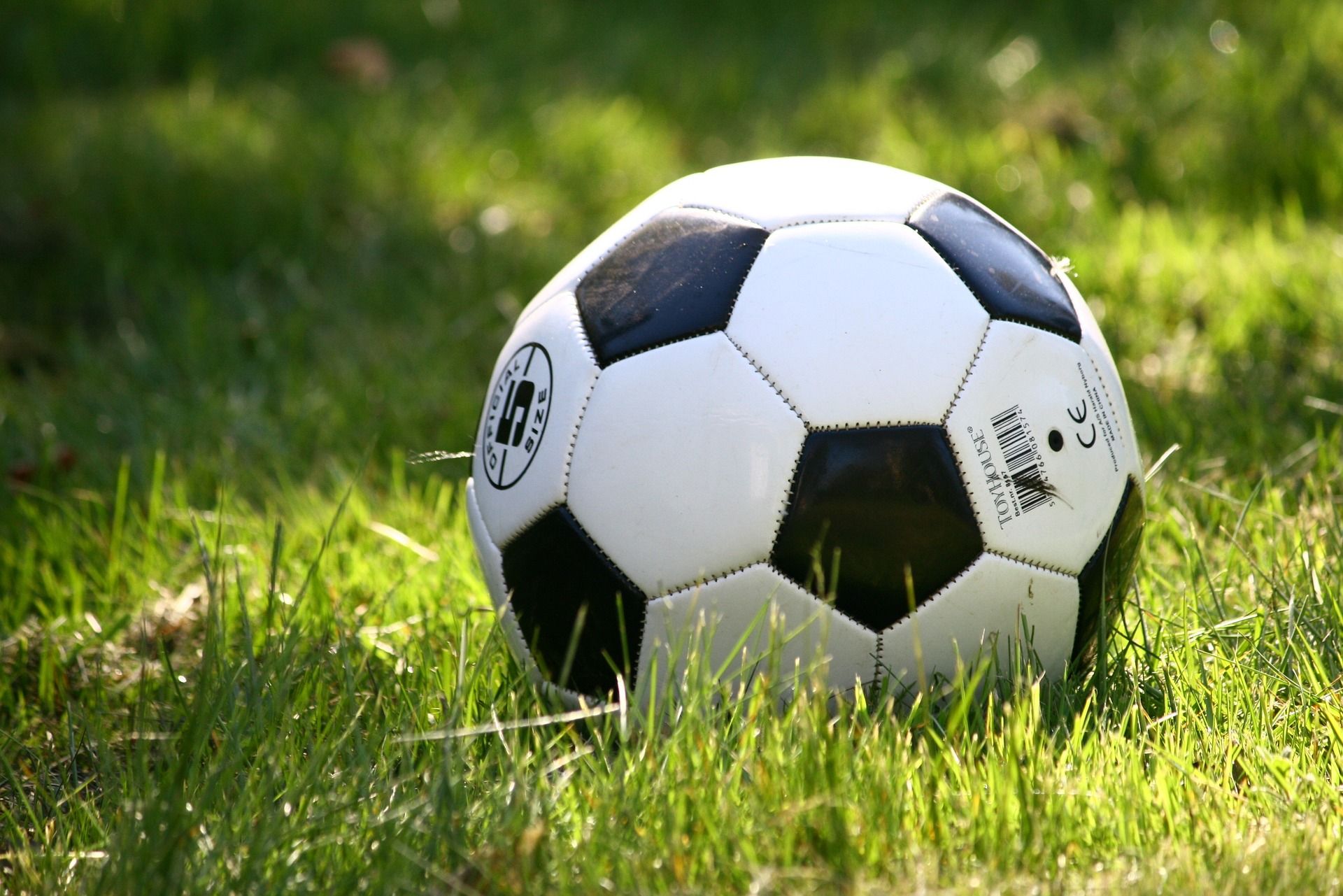 $593 Billion Will Be Bet on the World Cup, and Most of It Is Going to Crime, Expert Warns