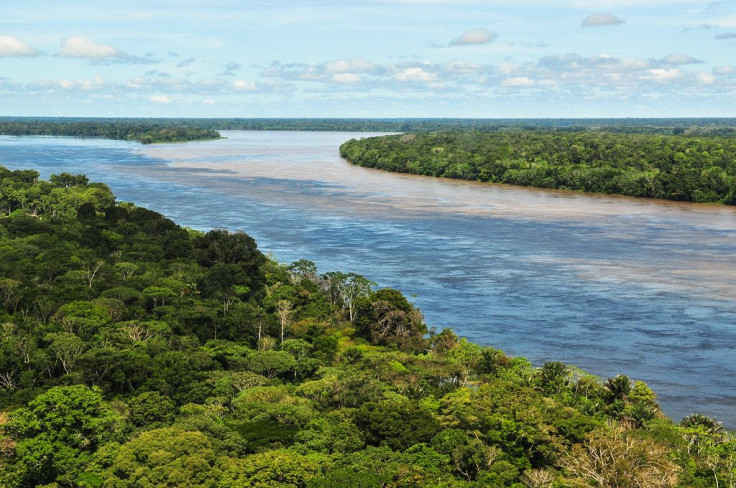 The Amazon rainforest now emits billion tonnes of carbon dioxide a year, new worrisome study shows.