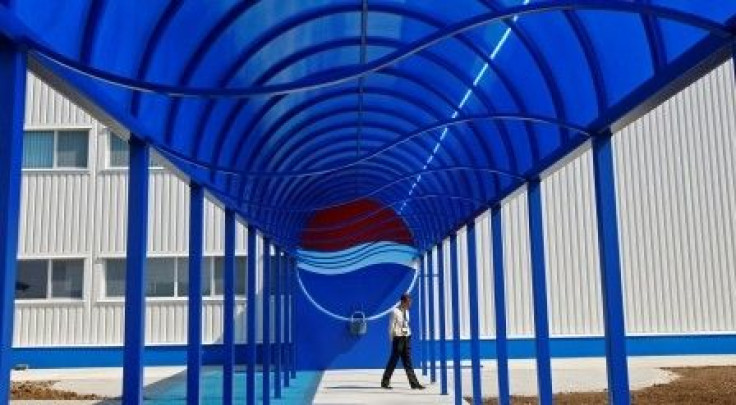 A security person walks past the entrance of the second-largest European Pepsi plant, near Bucharest 