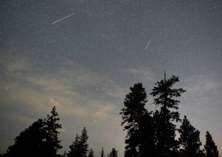 A pair of Perseid meteors streak across the sky above desert pine trees in the Spring Mountains National Recreation Area, Nevada, Aug. 13, 2015.