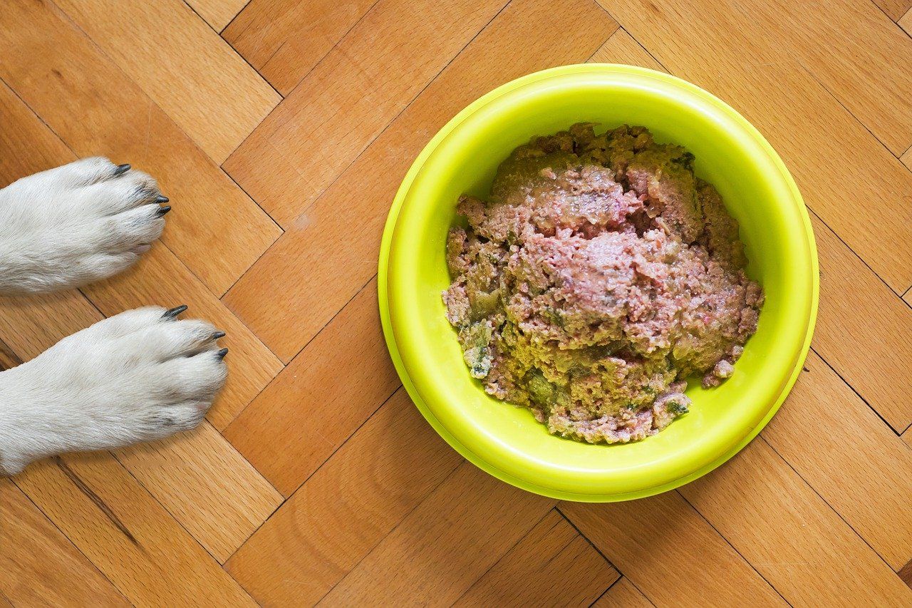 Pet Food Recall Purina Pulls Dog Food Over Mislabeling Issue