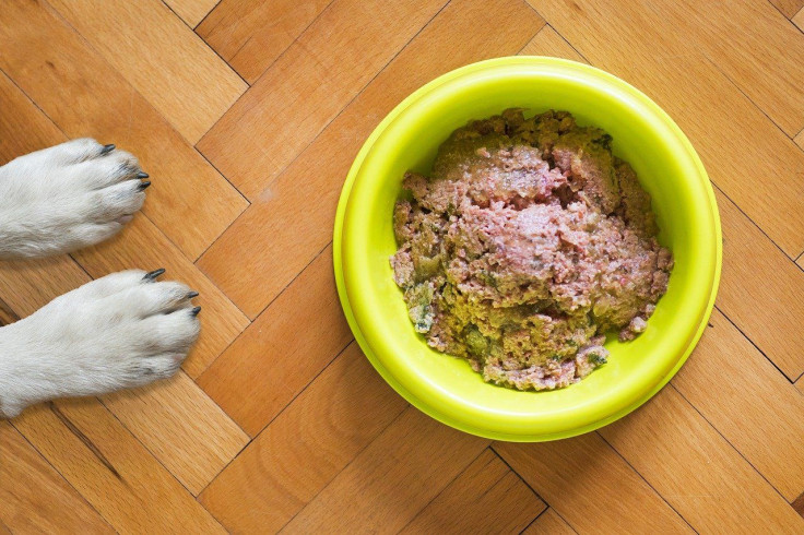 Pictured: Representative image of a pet food bowl.