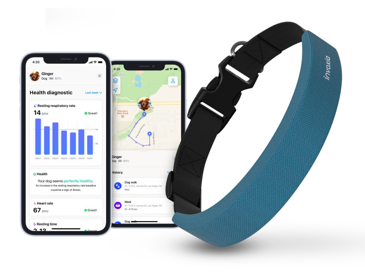 Invoxia Smart Dog Collar tracks pets whereabouts and heart health
