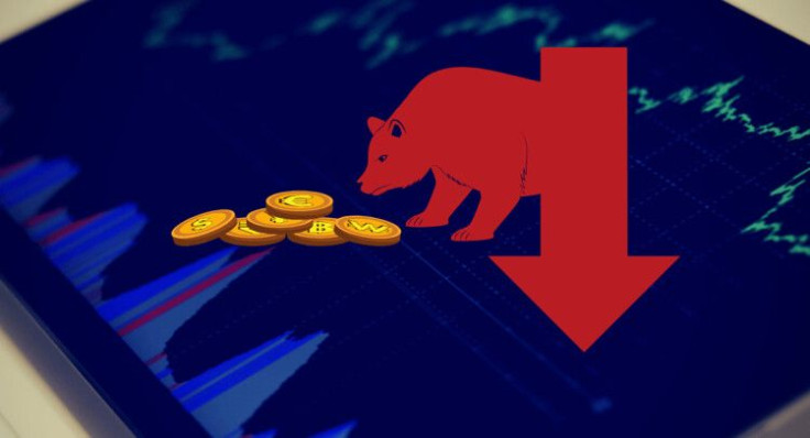 crypto bear