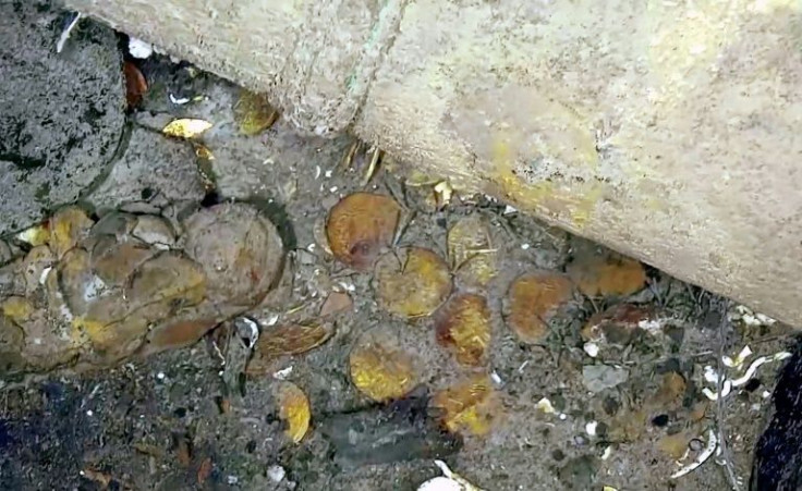 Pieces of gold can be seen at the site of the shipwreck off Colombia