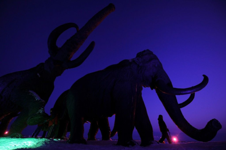 Woolly mammoths may yet walk the Arctic again, if biosciences firm Colossal is able to use gene-editing techniques to bring back the extinct species