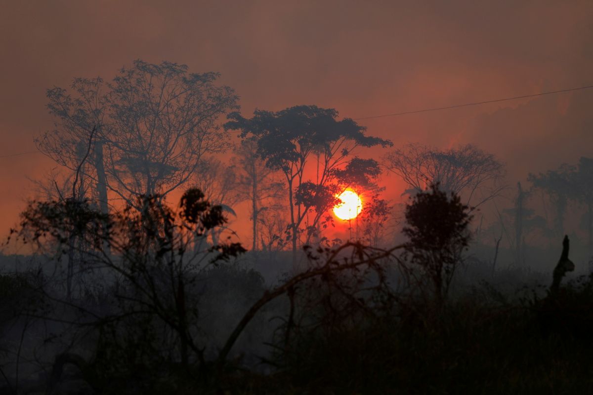 Brazil Reports Record Deforestation Of The Amazon In First Half Of 2022