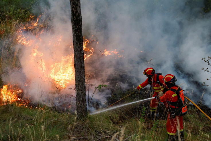 Firefighters from the Unidad Militar de Emergencias (UME) tackle a forest fire near Artazu, Navarre province, Spain, June 19, 2022.