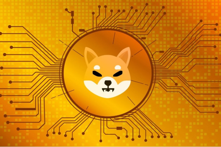 NOWPayments lets merchants deploy SHIB payment gateway.
