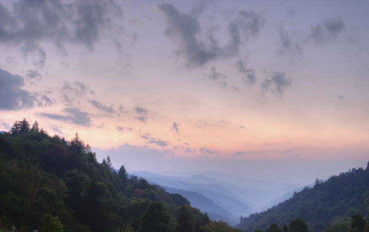 Images of nature make for great smartphone wallpapers