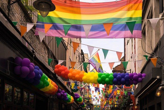 bisexual community