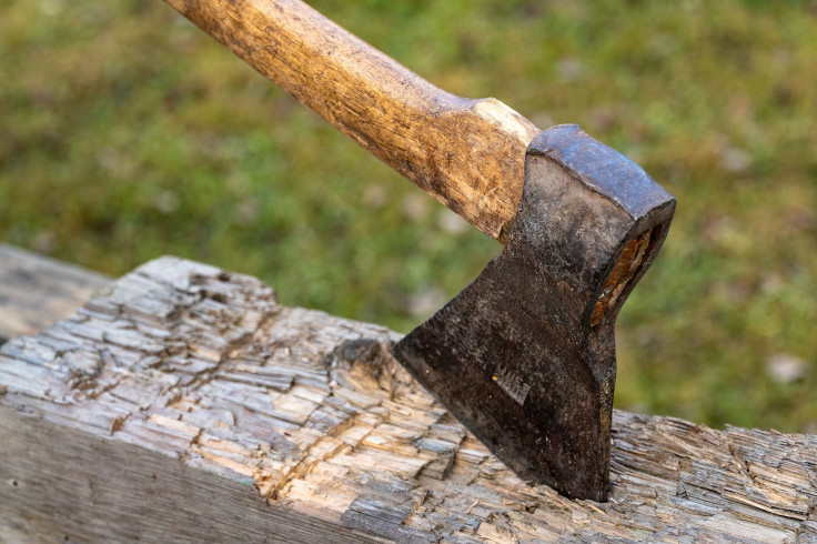 Representation. An ax.
