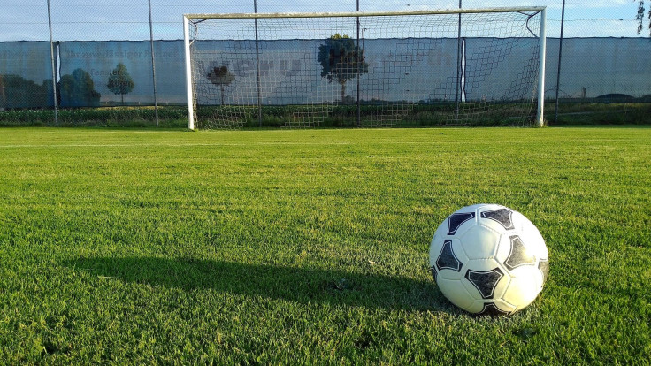 Representation. A soccer ball on a field.