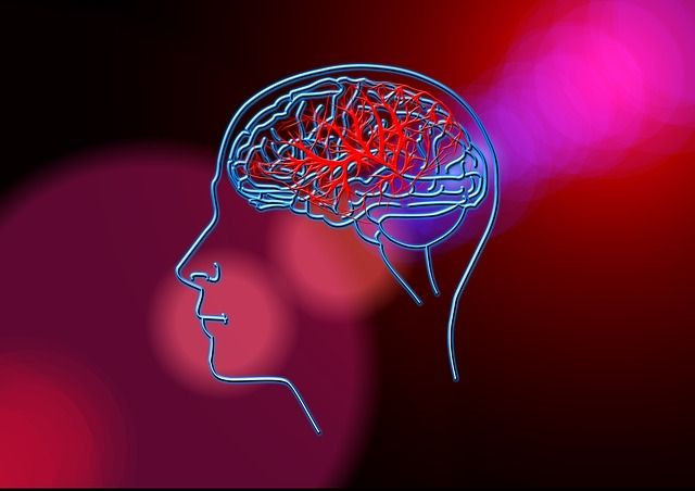 stroke