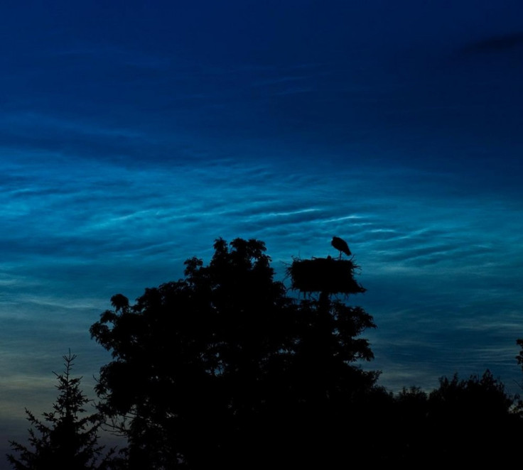 Excess amounts of wasted artificial light pumped into Britain’s skies are causing severe light pollution as a result of which almost half of the country is unable to see a starry sky at night.
