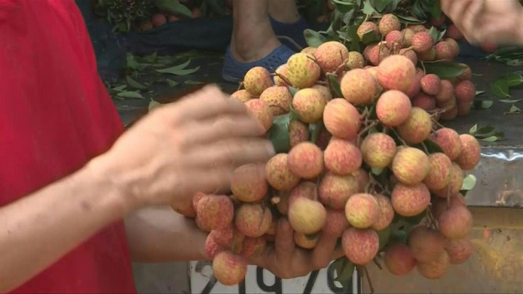 Hundreds of lychee farmers sort and grade huge piles of the tropical fruit at a busy wholesale market in northern Vietnam, but many bemoan slumping prices as foreign traders are held up in quarantine