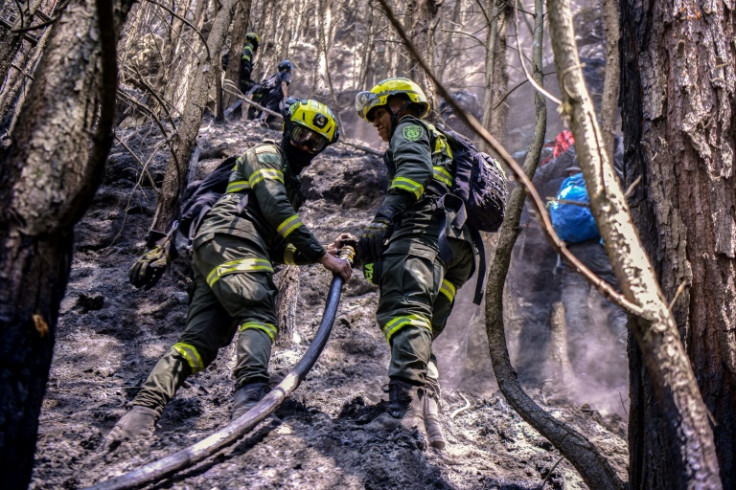 Amid hot, dry conditions linked to the weather phenomenon El Nino, fires have devastated more than 17,000 hectares (42,000 acres) across Colombia over the past three months