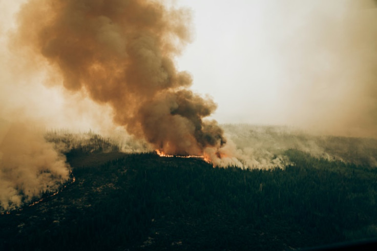 Canada suffered its worst-ever wildfires in 2023