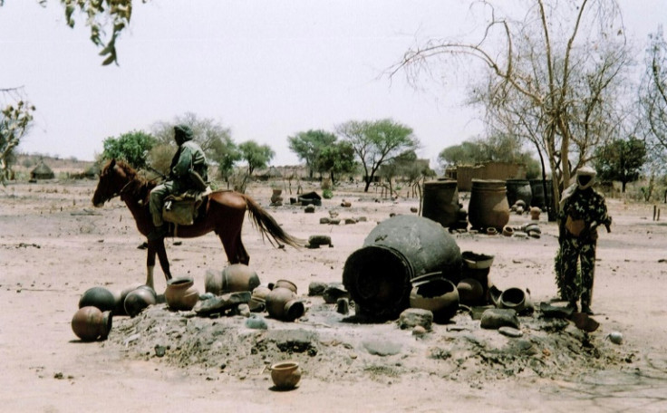 The Janjaweed militias began tormenting Darfur in 2003