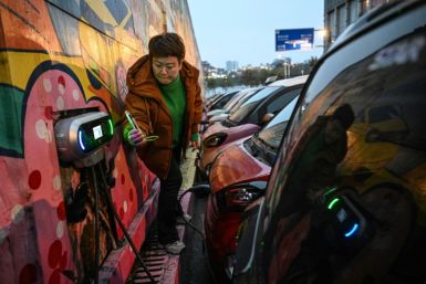 The EV sector is an important component of Beijing's pledge to bring carbon emissions to a peak by 2030, and to net zero by 2060