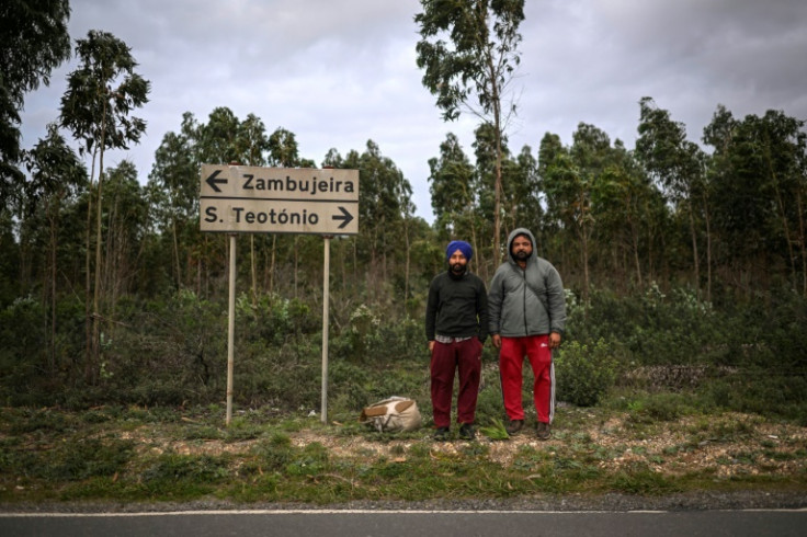 Promised land: Two South Asian farm workers in Sao Teotonio, Portugal