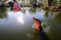 A crocodile leaps out of the water towards a piece of meat on a stick in a lagoon at Crocodylus Park