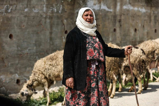 A Palestinian woman herds sheep in Huwara