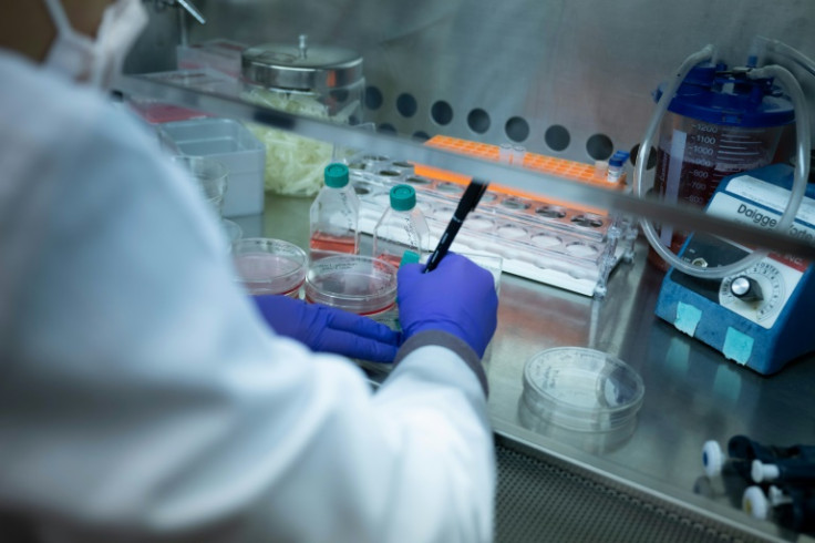 Cell lines are prepared in a laboratory at the National Institutes of Health in Washington, DC