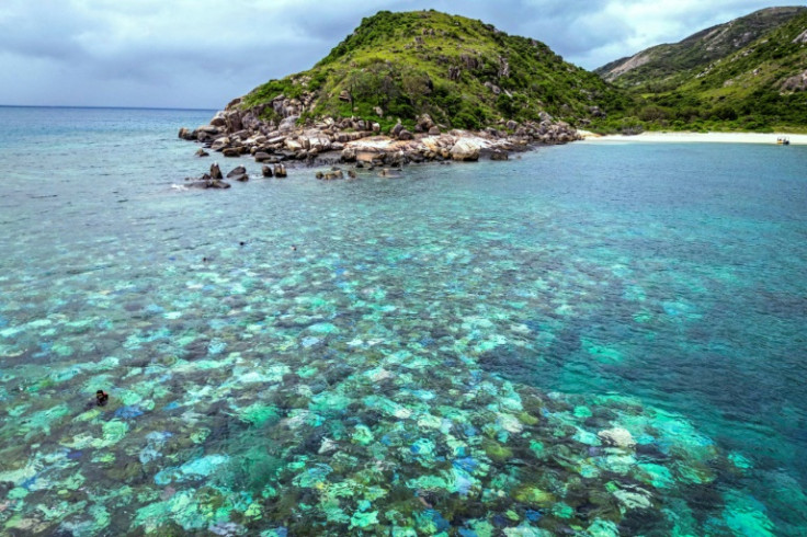 As the planet continues to warm, bleaching is forecast to reduce global coral cover by 95 percent if temperatures warm by about two degrees