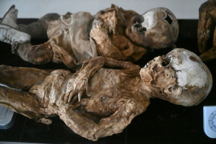 Unidentified mummies on display at the museum