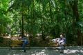People rest in the shade in a park during hot weather in Manila