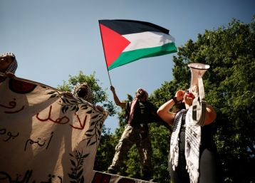 Demonstrations against Israel's war in Gaza have rocked college campuses across the United States