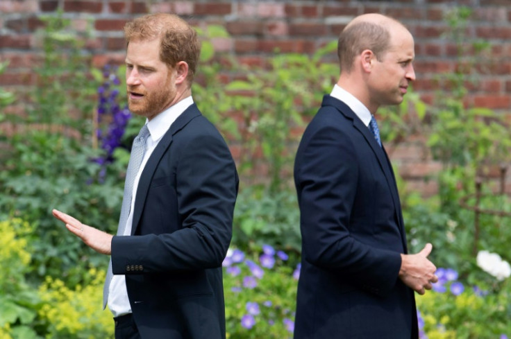 There are no plans either for Harry to meet his brother William
