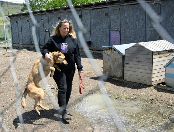 Georgia's NGO network like this dog shelter is hugely dependent on foreign grants