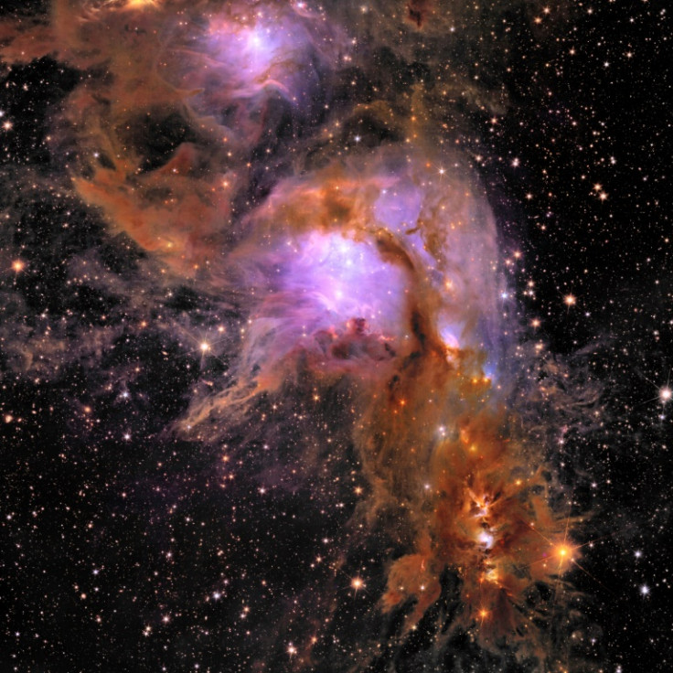 Stars are still forming in the blue centre of the Messier 78 stellar nursery, emerging from the orange clouds at the bottom