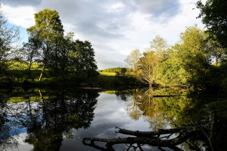Some farmers are critical and blame beavers for felling trees and burrowing into embankments