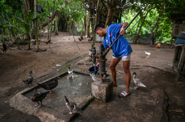 AJ Vicente, 17, pumps water as he tends to chickens at his home after boxing training. "Farm work is backbreaking. I do not want my son to go through the same thing," says his father Jose