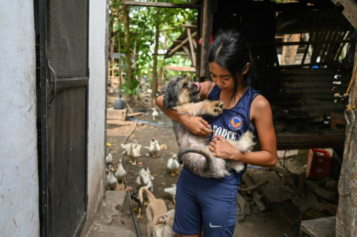 Schoolgirl Prystine Niche Cantancio, 11, plays with her dog at her wood and bamboo home after boxing training. "I want to make my papa proud," she says