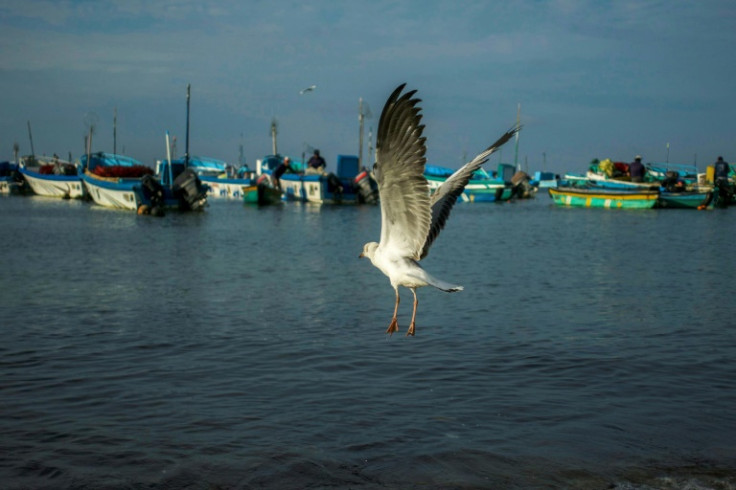 With its idyllic coastal landscape surrounded by luxury hotels, Ecuador's beach town of Salinas is the setting of a brutal war that most tourists never get to see