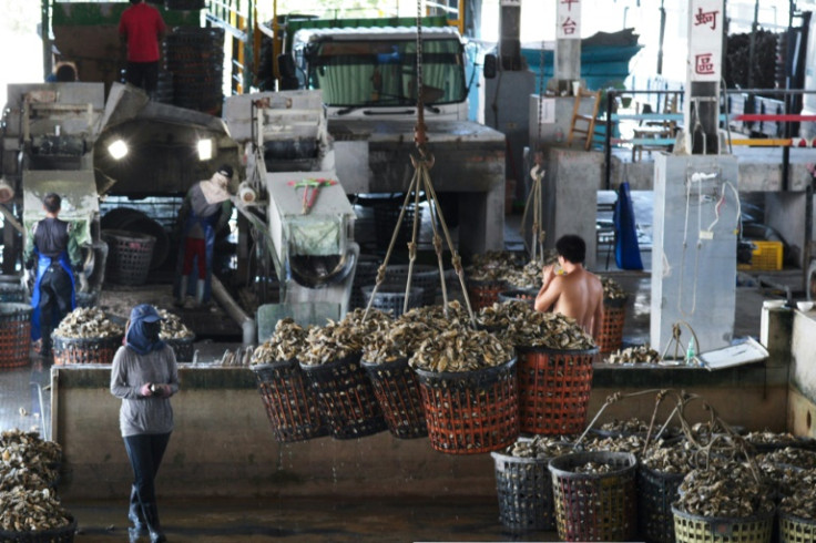 Workers sort oyster shells at the Gijin Seafood Factory