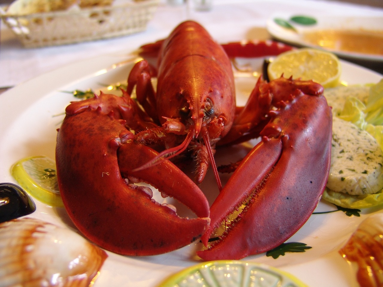 China Agrees To Lift Ban On Australian Rock Lobster Before Chinese New Year