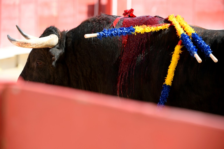 France’s Bullfighters See Red Over Bill To Ban Under-16s