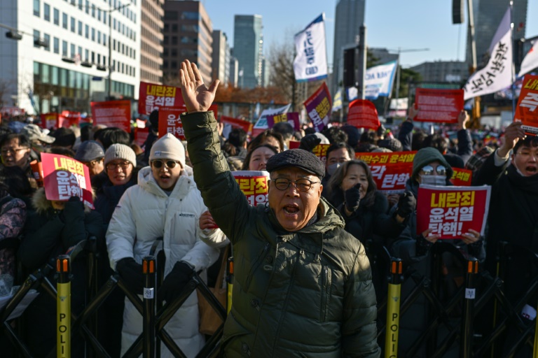 South Korean Activist Horrified By Martial Law