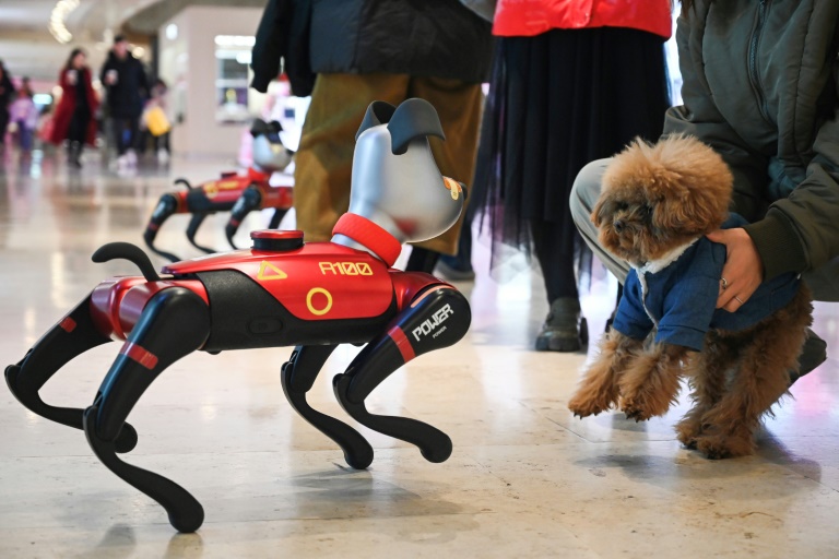 Young Chinese Turn To AI Pets For Emotional Relief