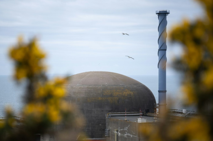 Birds fly over the nuclear power plant of Flamanville, northwestern France, which started 12 years behind schedule