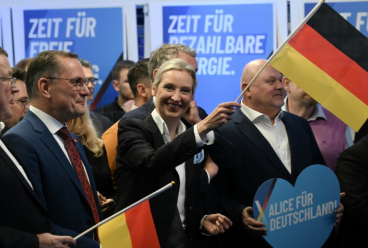 The Alternative for Germany party celebrated its best-ever election result in February