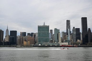 Some large organizations are able to run the systems on their own, like the UN or Cornell University in New York