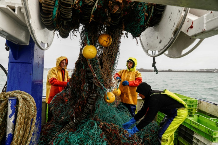 French fishermen gather in a net on their vessel near the port of Saint Helier off the British island of Jersey in May 2021 amid tensions over fishing rights