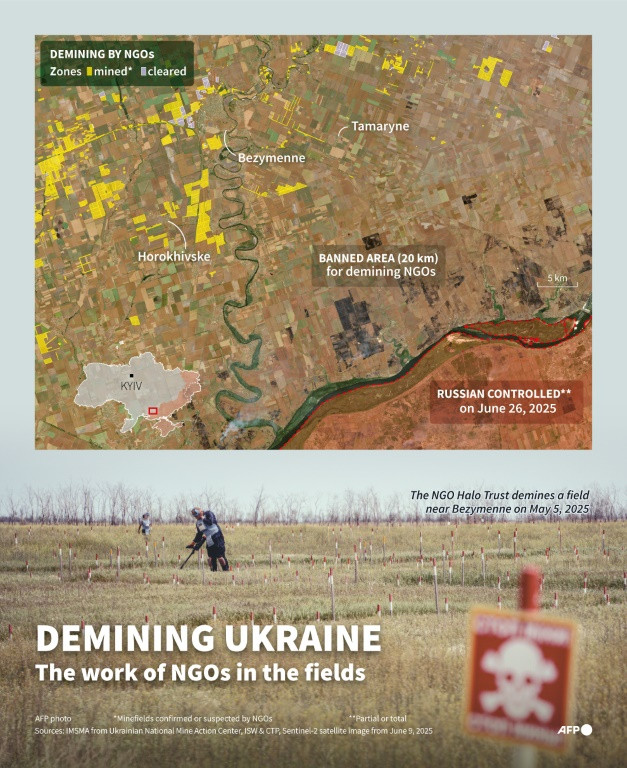 Demining Ukraine: the work of NGOs in the fields