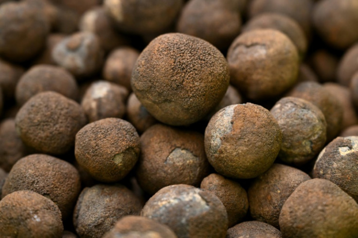 Large tracts of seabed around the Cook Islands are carpeted in polymetallic nodules, misshapen black globes encrusted with cobalt, nickel, manganese and other coveted metals